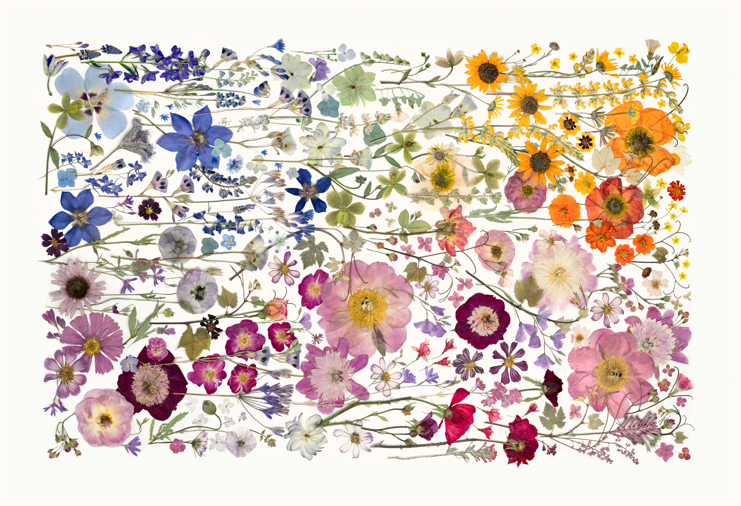 Spring Fever Wall Mural