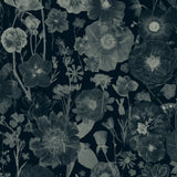 Spring Fever