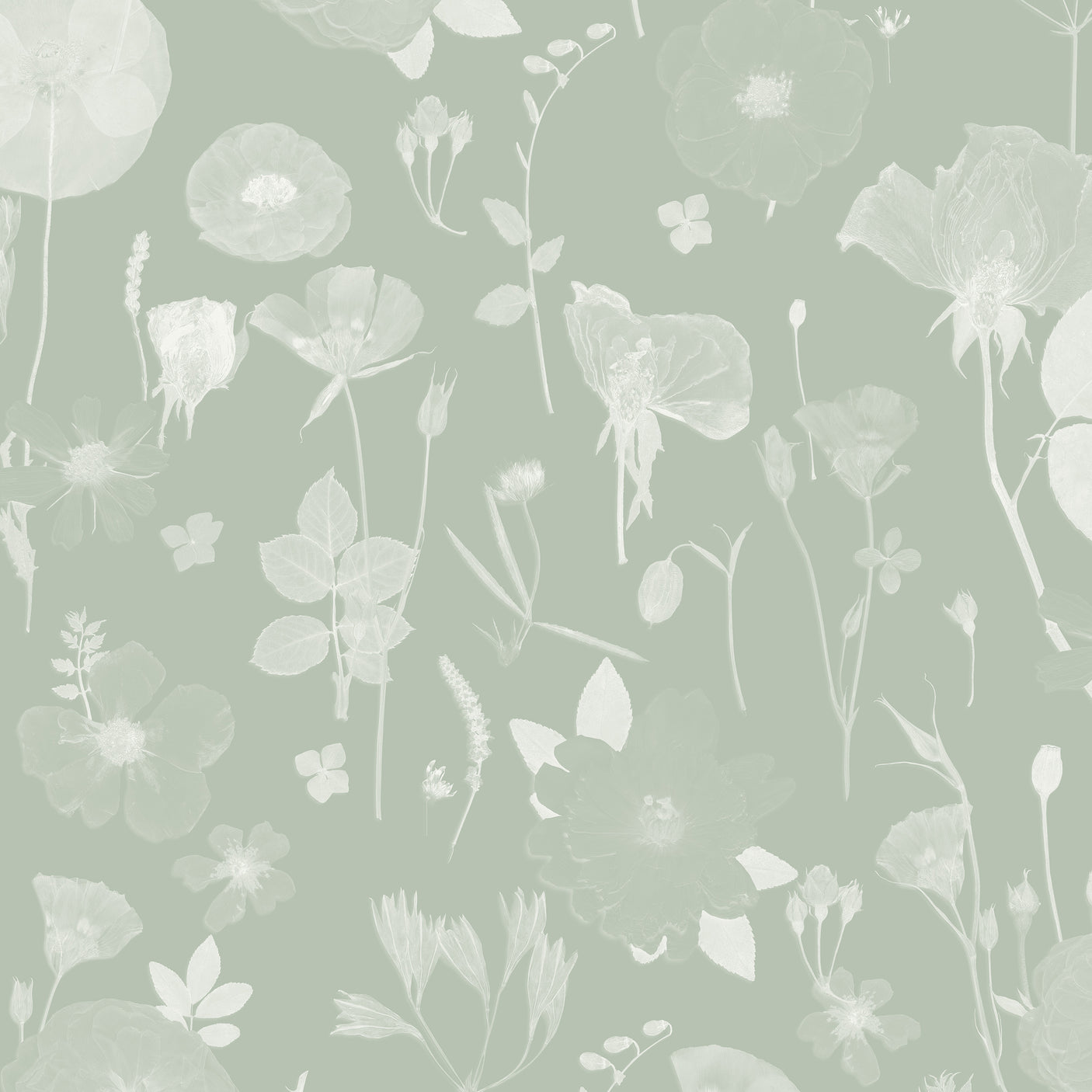 Springtime Joy - Honey Dew