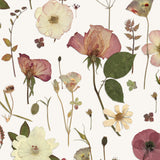 Springtime Joy NEW