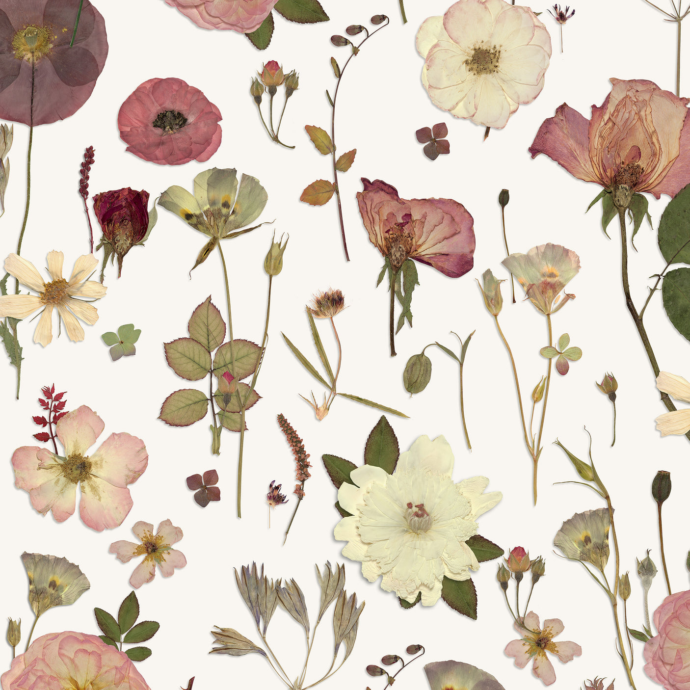 Springtime Joy