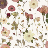 Springtime Joy