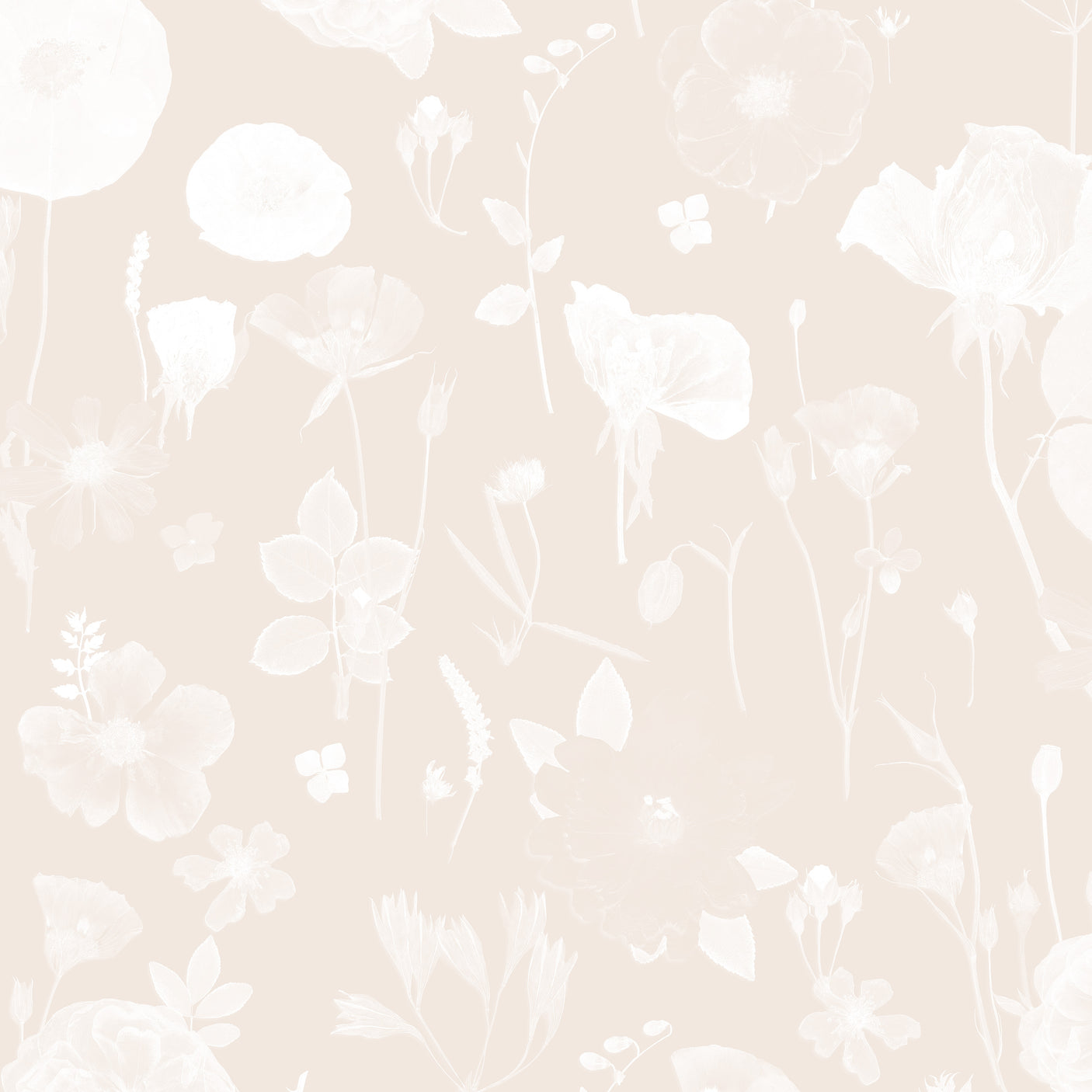 Springtime Joy - Summer Peach