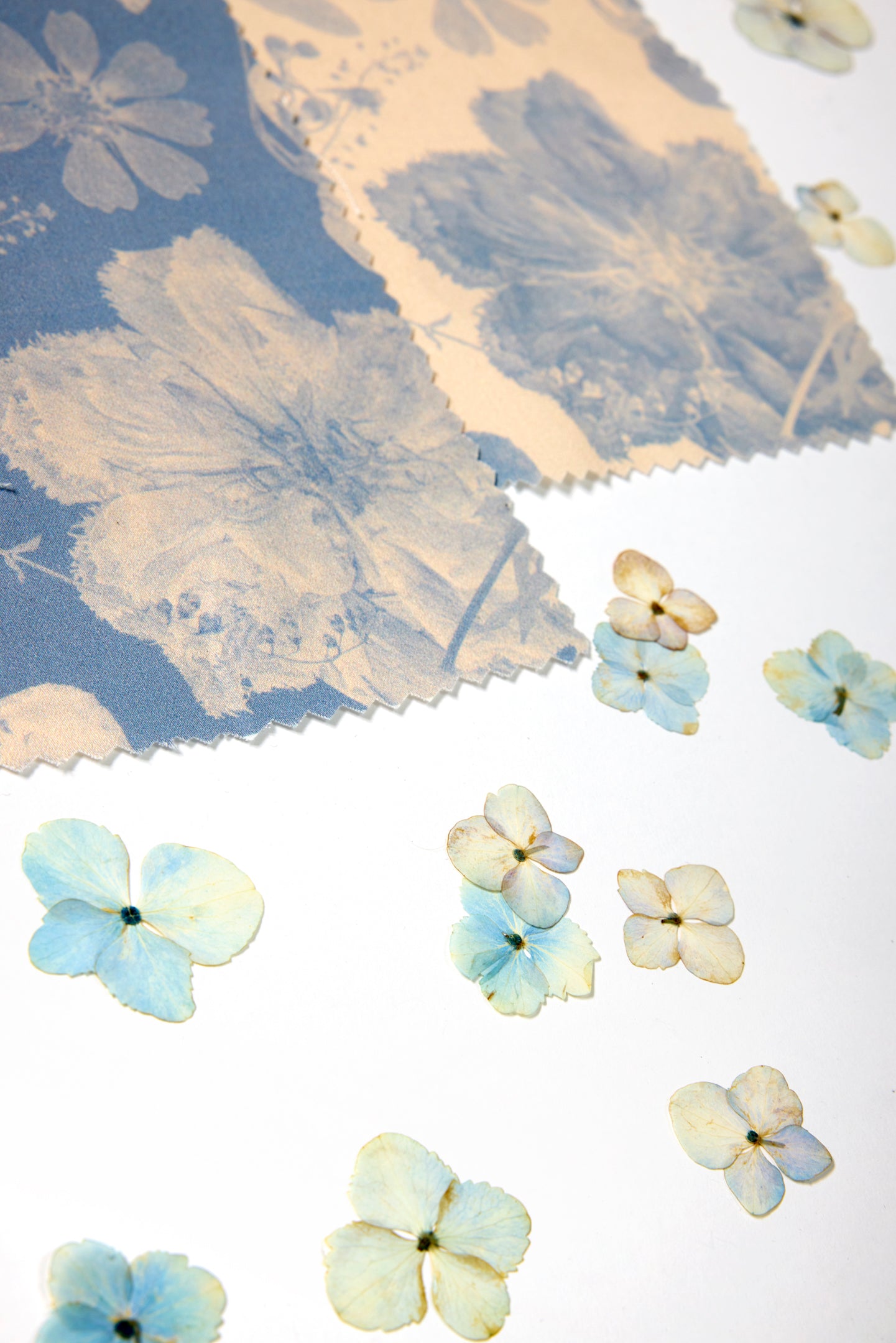 Noirette Washed Denim Rug