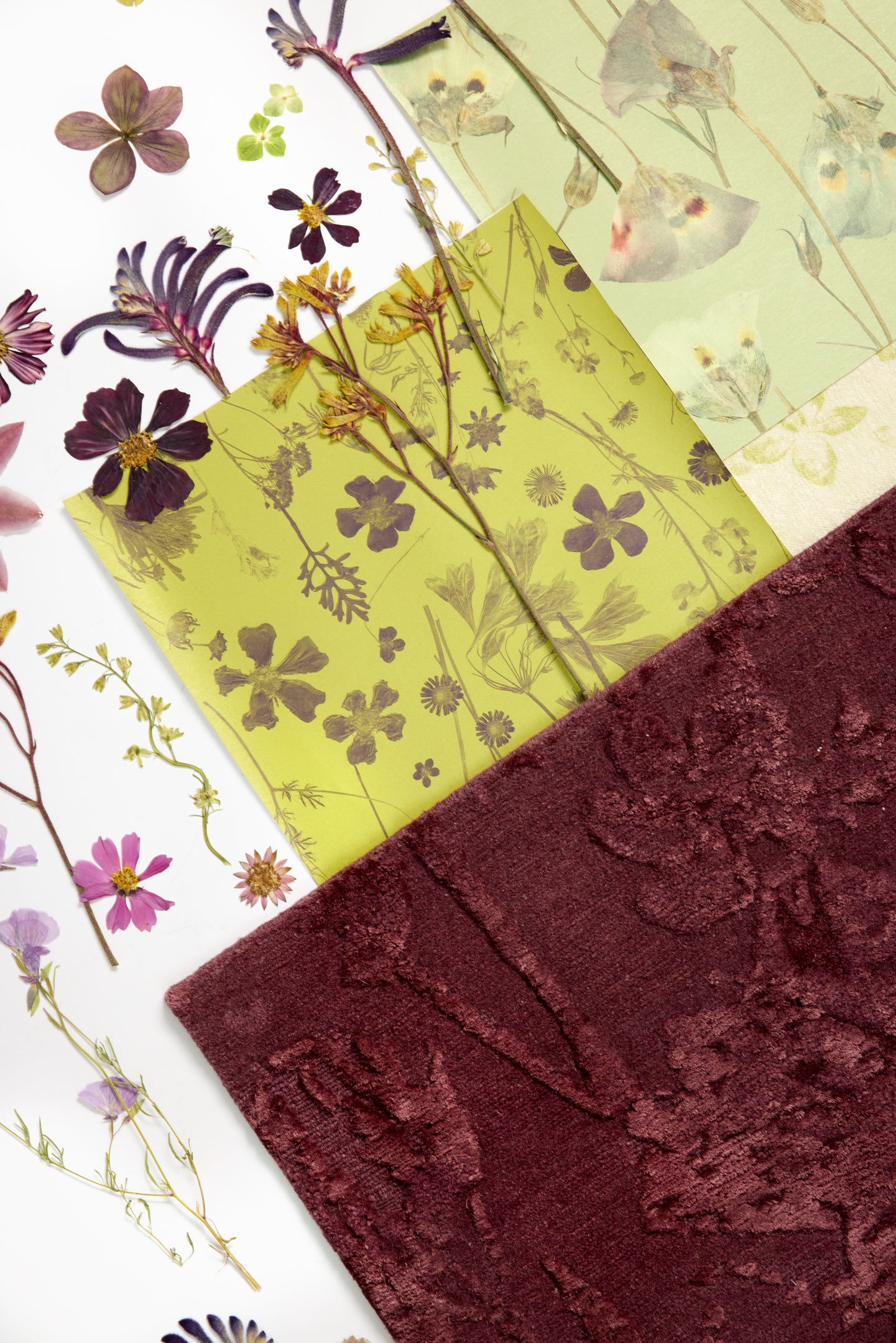 Noirette Acai Rug