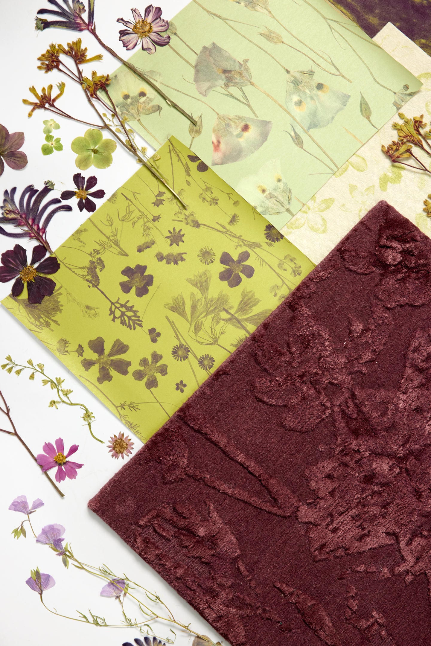Noirette Acai Rug