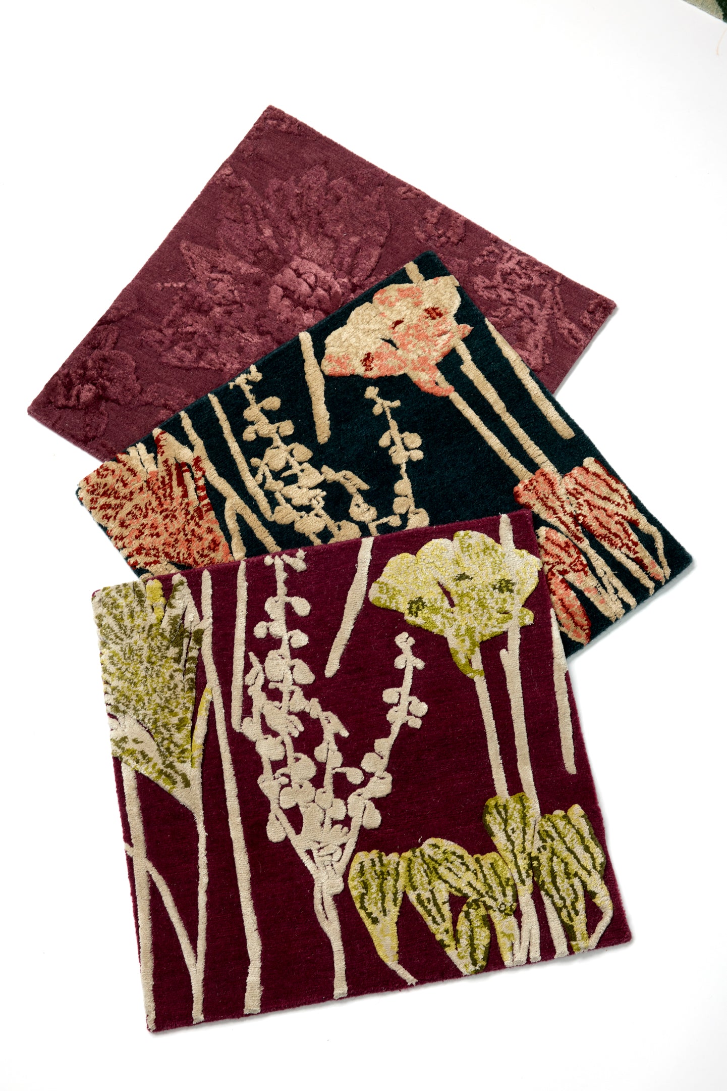 As Spring Fades Inkwell Coral Rug