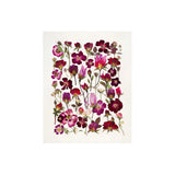 Wild Roses