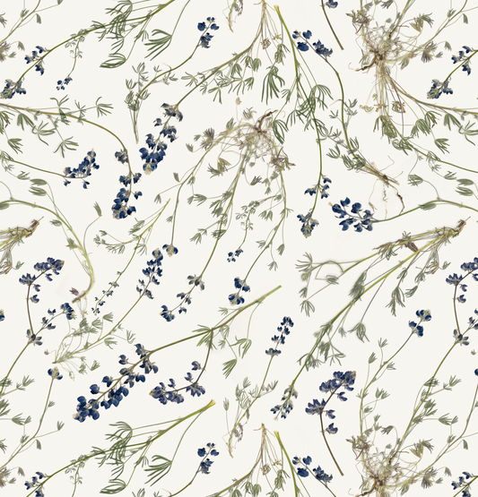Wild Lupine Pure Wallpaper