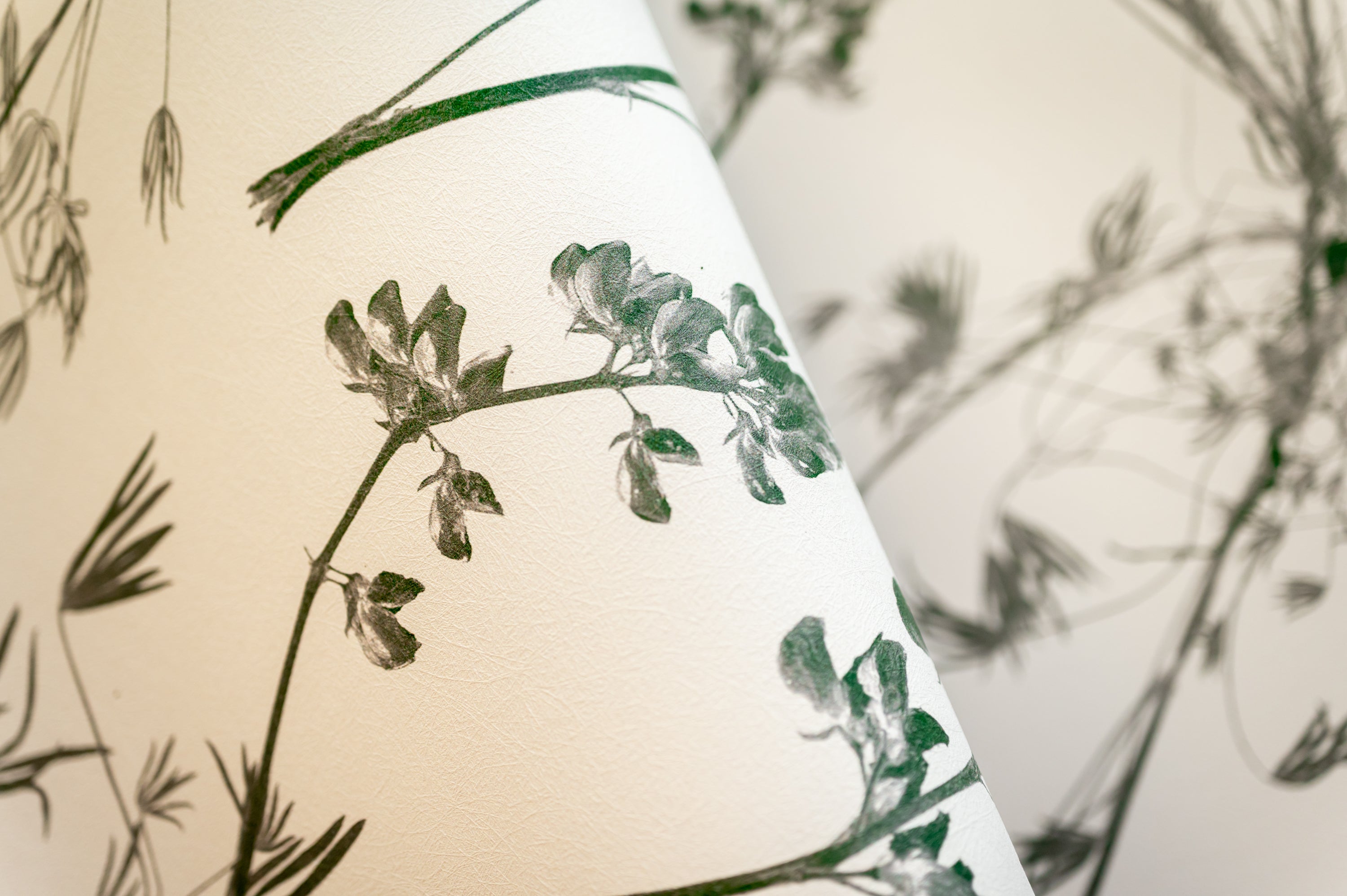 Wild Lupine Juniper Wallpaper