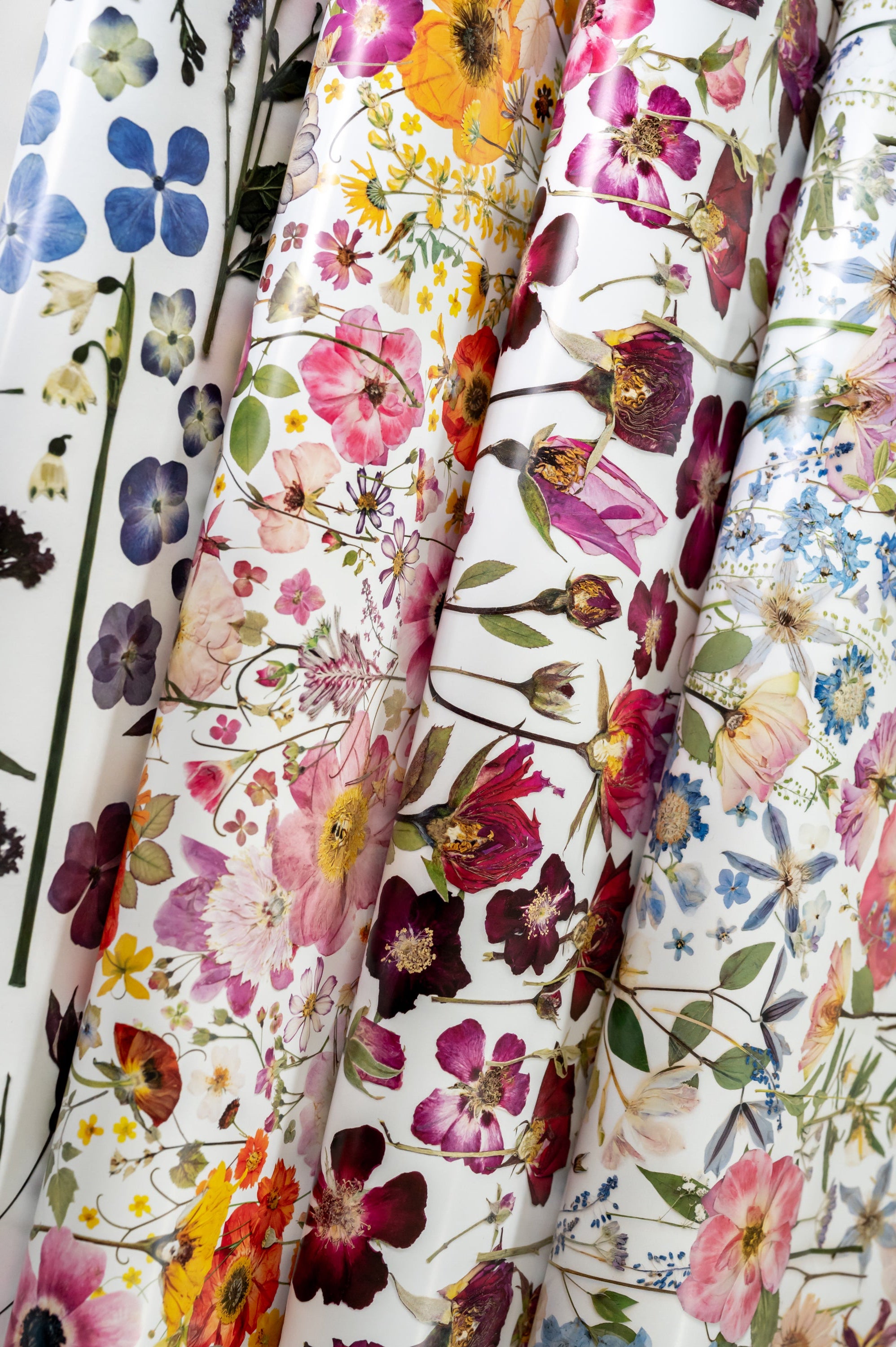 Pressed Flower Wrapping Paper