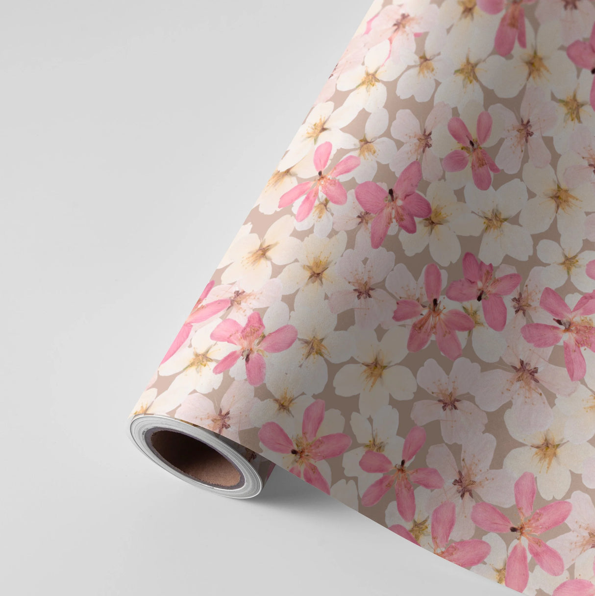 Cherry Blossoms