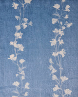 Climbing Larkspur Dusky Blue