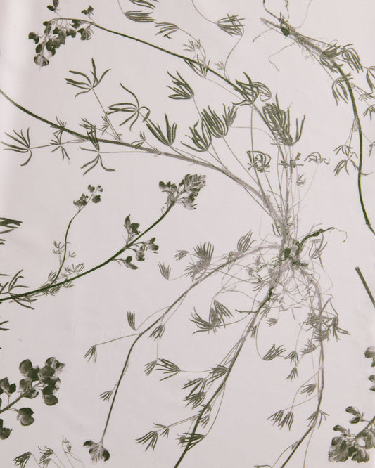Wild Lupine Juniper Fabric