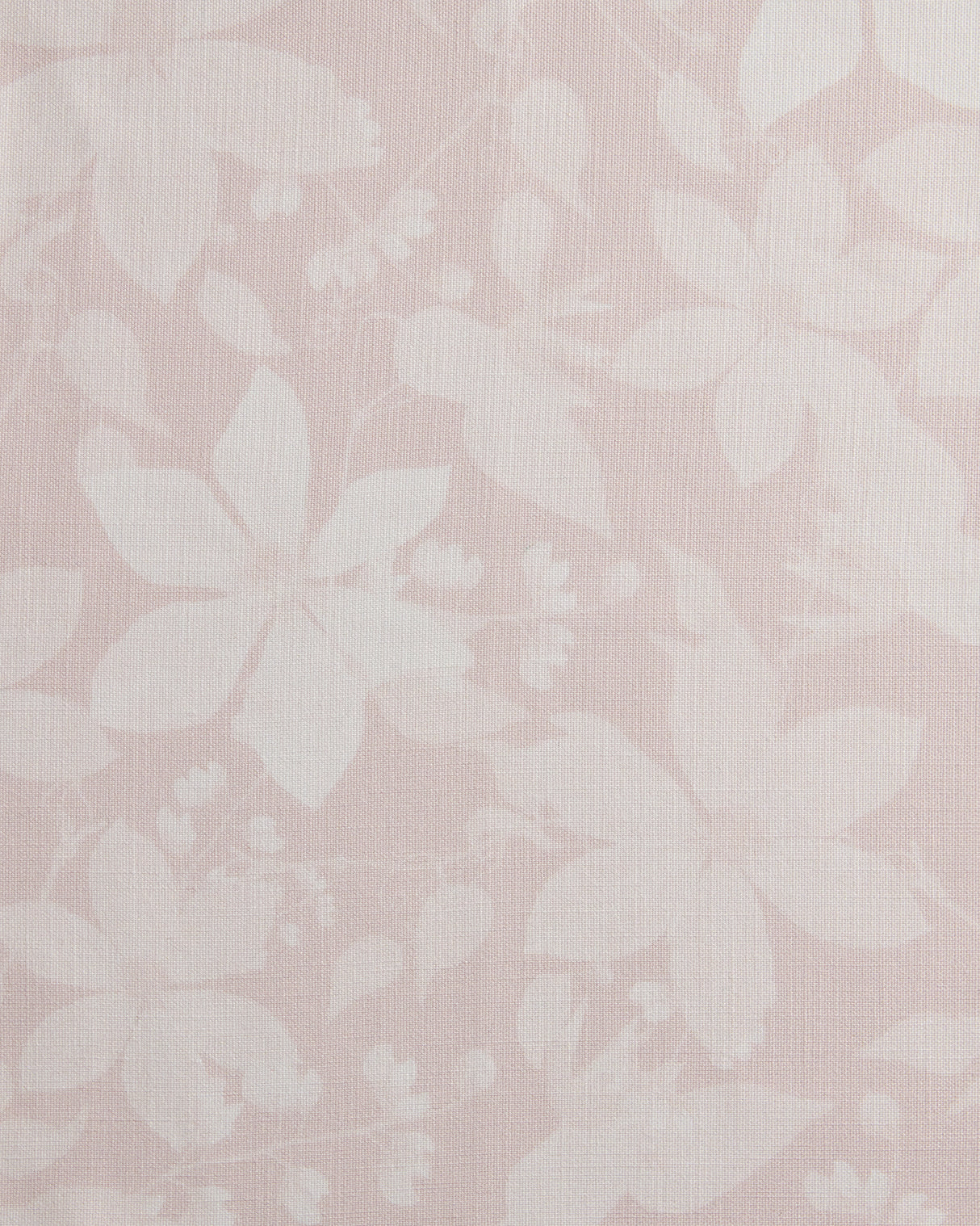 Clematis Rosewater Tonal