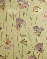 Butterfly Mariposa Lily Authentic on Sage