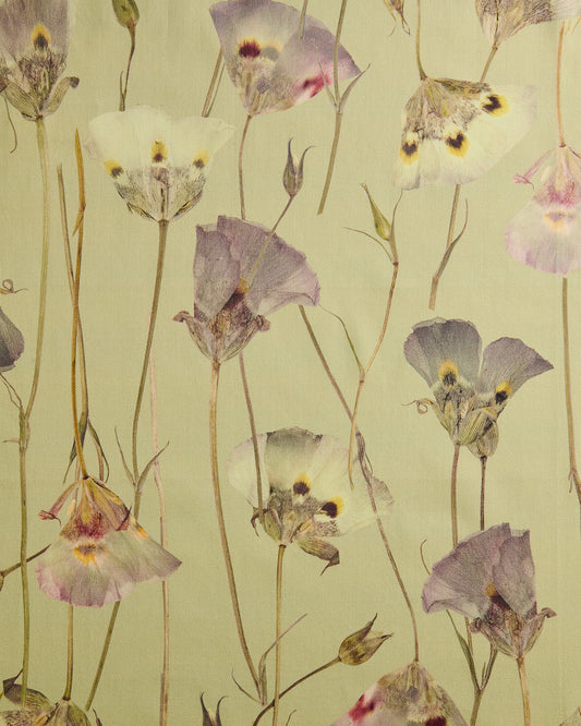 Butterfly Mariposa Lily Avocado Fabric