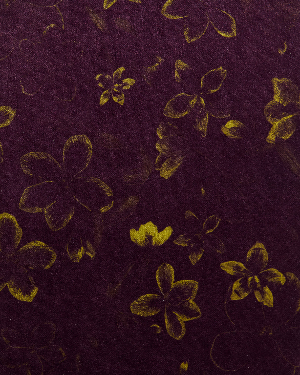 Hellebore Impression Merlot Tonal
