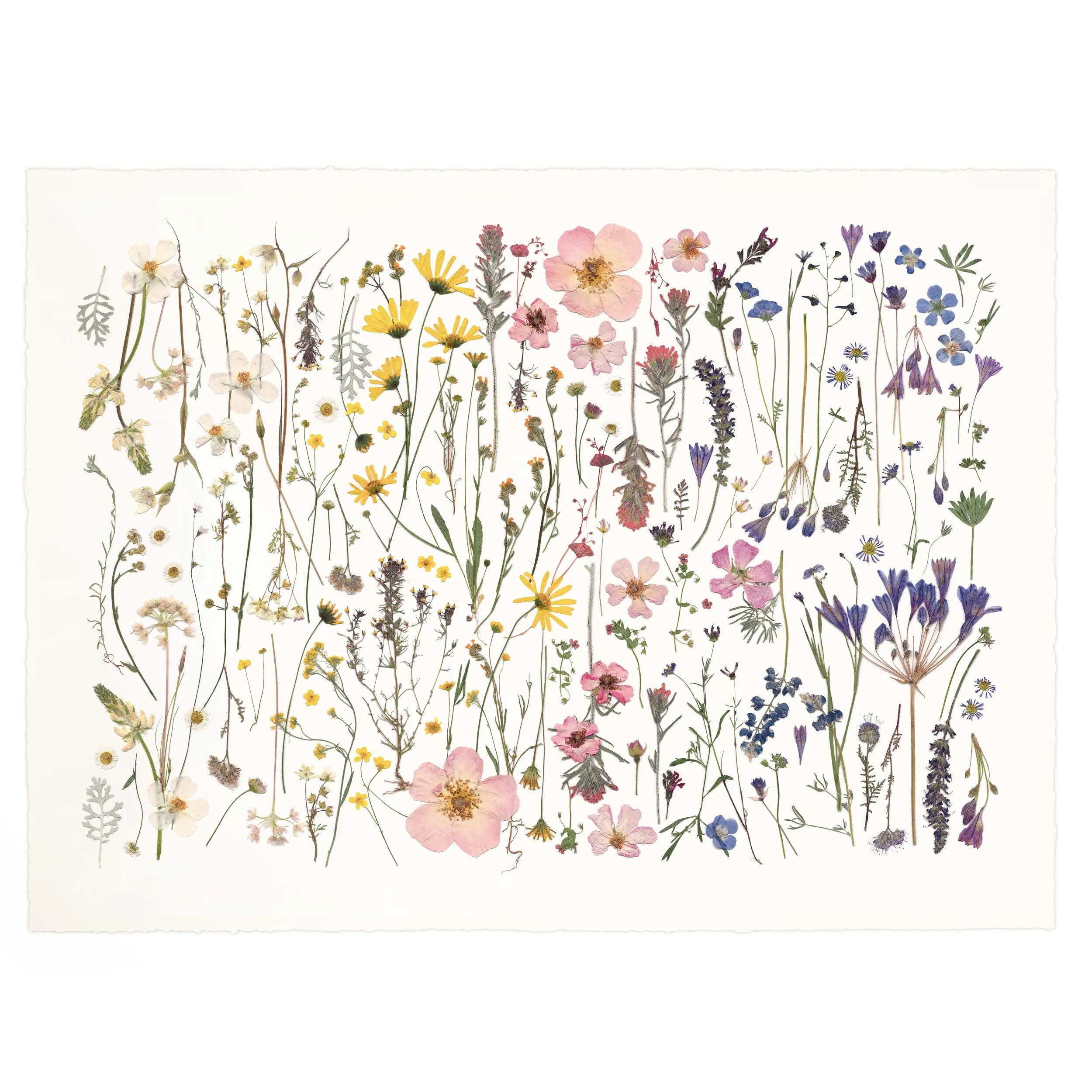 Bespoke Wildflowers