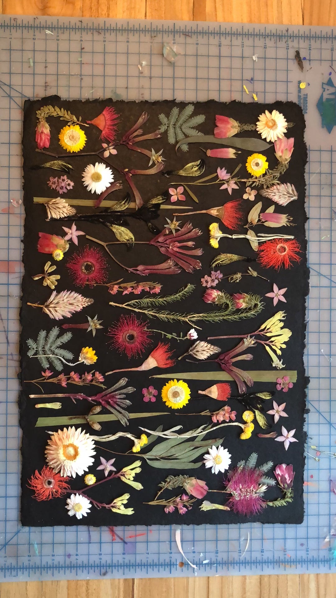 Australian Wildflowers