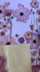 Forever Pink