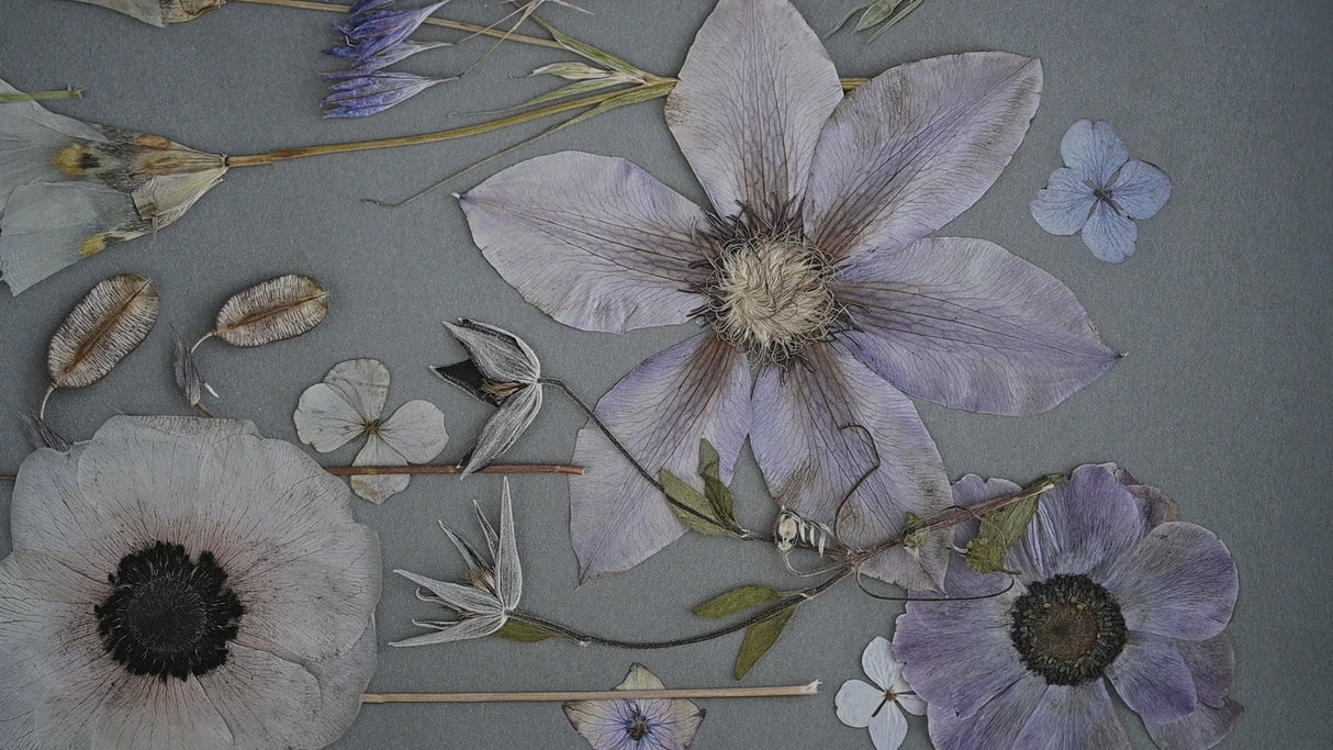Gray Gardens