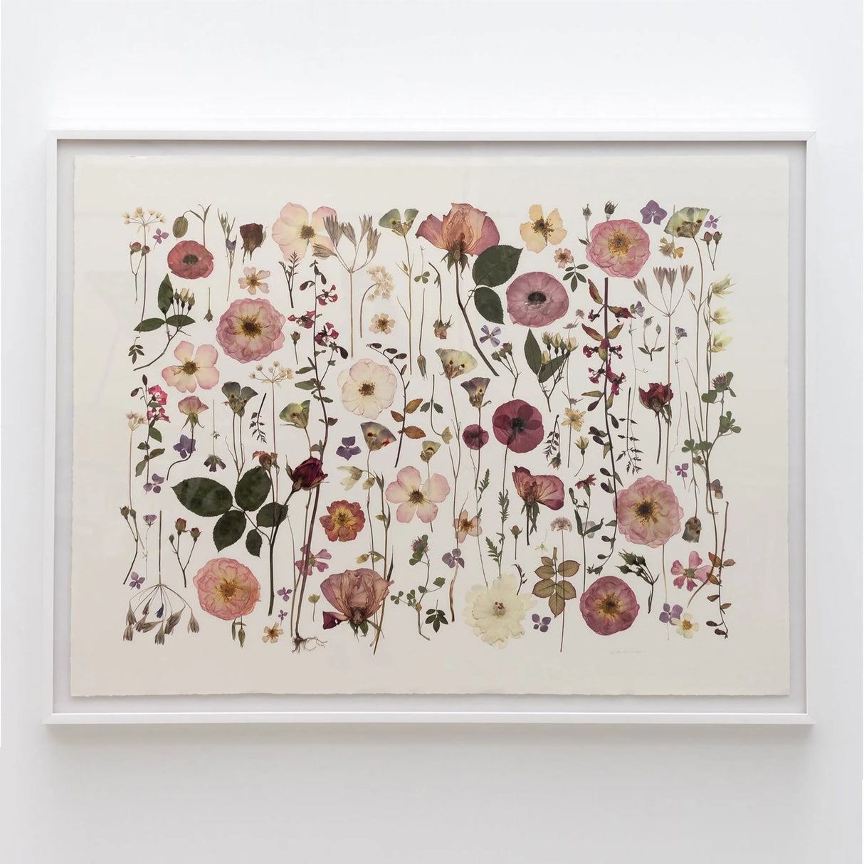 Roseala