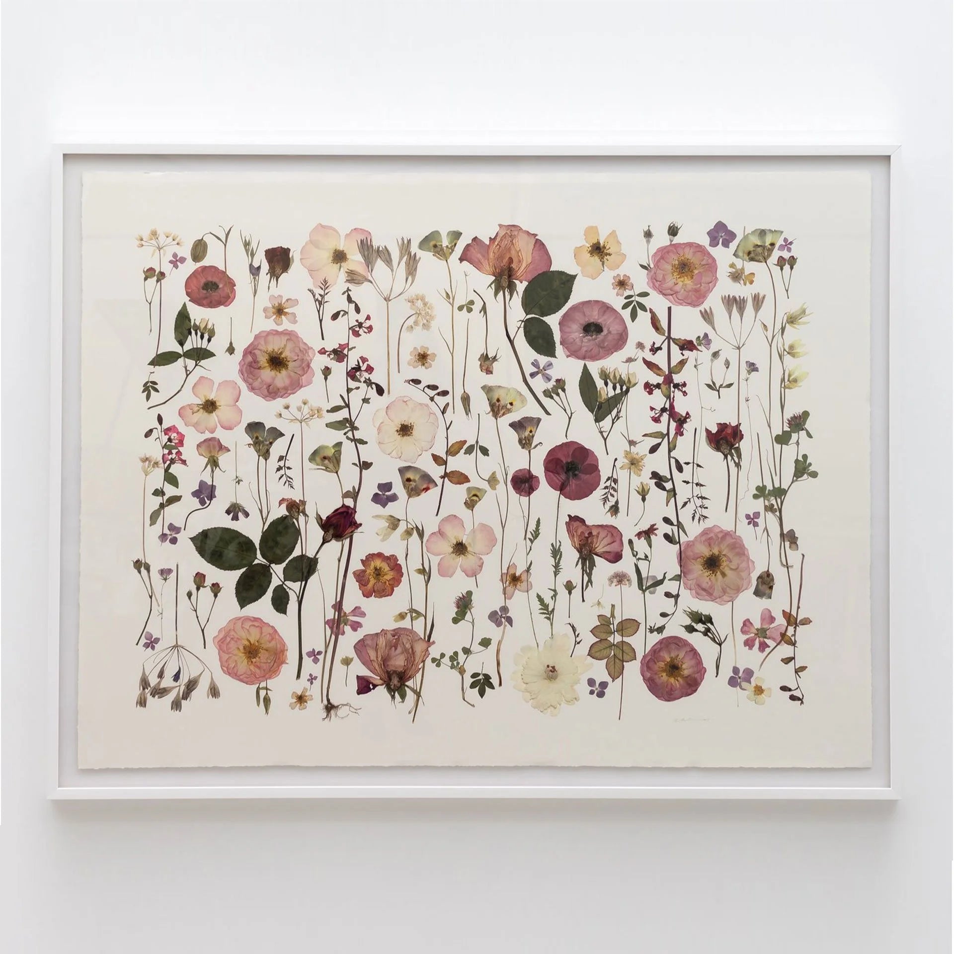 Roseala
